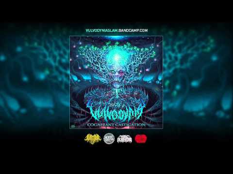 Vulvodynia — Vulvodynia - Cognizant Castigation [FULL ALBUM STREAM]