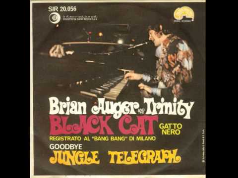 Julie Driscoll, Brian Auger & The Trinity — Brian Auger And The Trinity  - Goodbye Jungle Telegraph