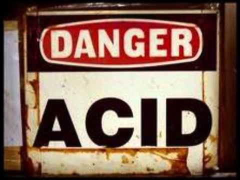 The Garden Of Eden — The Garden Of Eden - Garden Of Eden (Himalayan Mix)