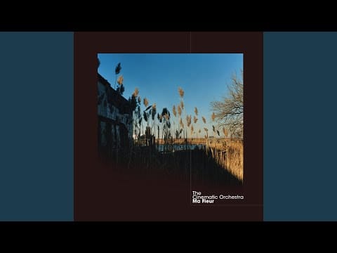 The Cinematic Orchestra — Flowers