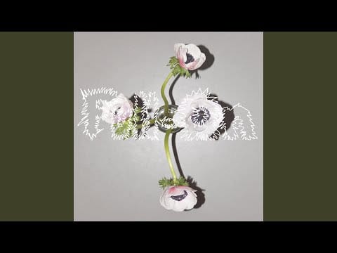 Nik Colk Void — Teeth