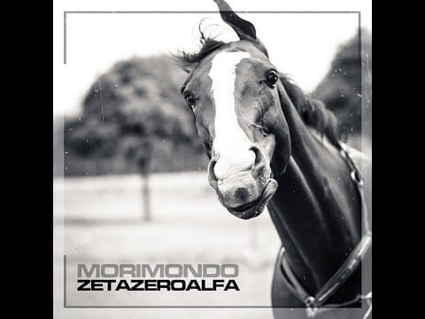 Zetazeroalfa — ZETAZEROALFA - Morimondo