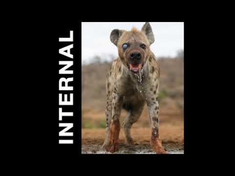 Internal (4) — Internal - Scrape [2020]