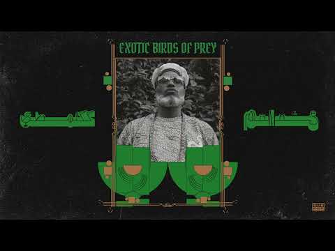 Shabazz Palaces — Shabazz Palaces - Exotic BOP (feat. Purple Tape Nate) (Official Audio)