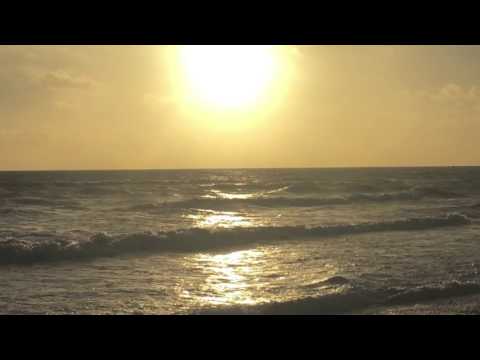 Juanita Stein — Juanita Stein - Shimmering