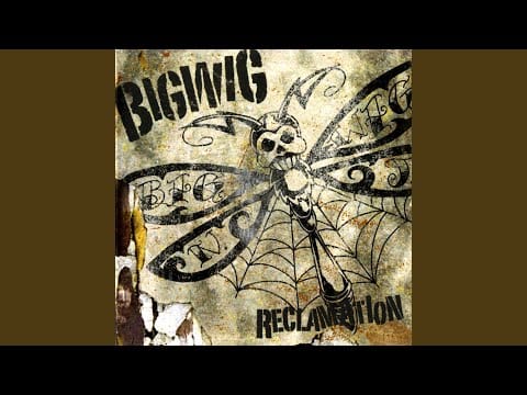 Bigwig — Outer Rings