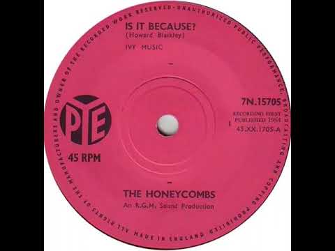 The Honeycombs — UK New Entry 1964 (237) The Honeycombs - Is It Because