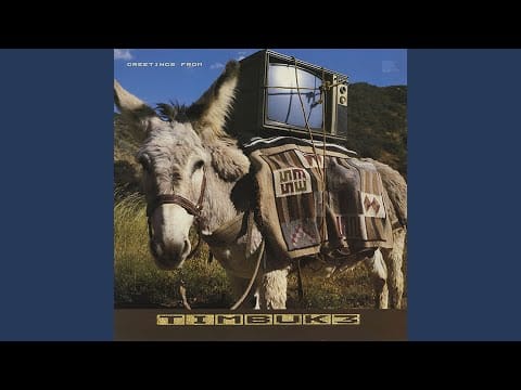 Timbuk 3 — Shame On You