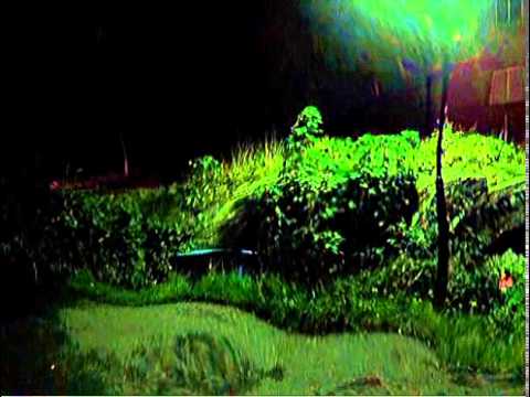 Your Planet Is Next — Your Planet Is Next - Diazepam