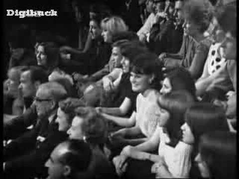 Julie Felix — Julie Felix - Going to the zoo