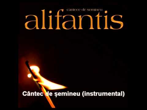 Nicu Alifantis — Nicu Alifantis - Cantec de semineu   instrumental