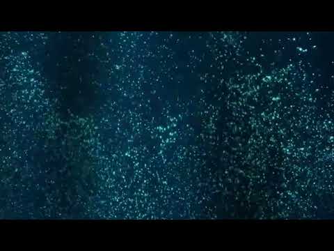 alt-J — Powders