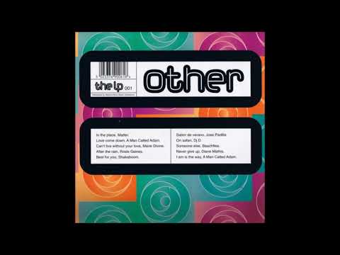 Diane Mathis — Diane Mathis - Never Give Up (Adamski Cum Dancing Mix)