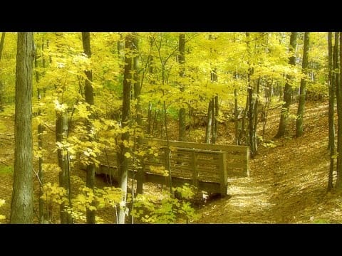 Altus (2) — Altus - Autumn Breeze (2005) COMPLETE ALBUM
