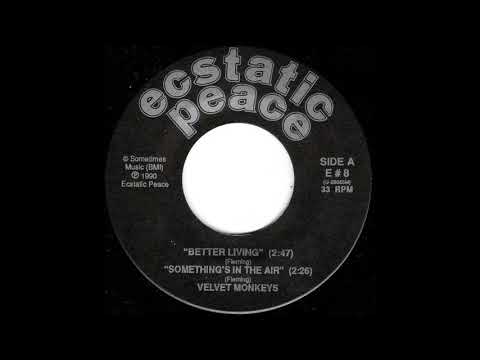 The Velvet Monkeys — Velvet Monkeys - Something's In The Air