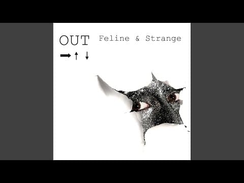 Feline & Strange — Hole in the Ground