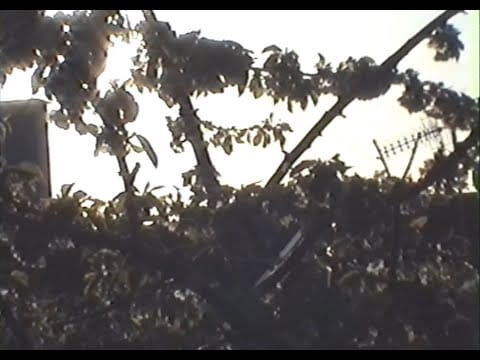 Badun — Badun - SP-0 (Space Leslie Lovers)