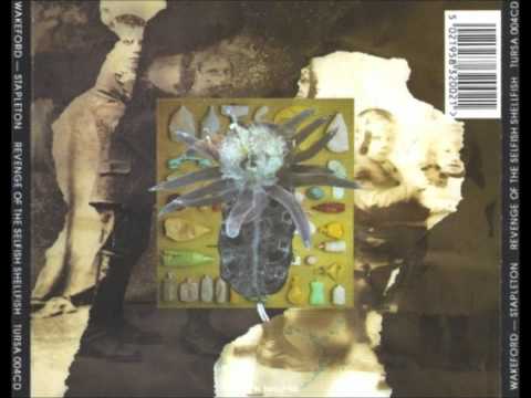 Tony Wakeford — Stephen Stapleton & Tony Wakeford - Amoeba