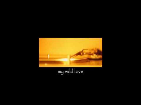 George Winston — George Winston - My Wild Love