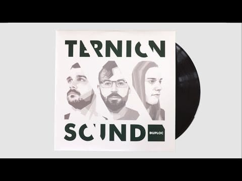 Ternion Sound — Ternion Sound - Forest Temple [DUPLOCv002]