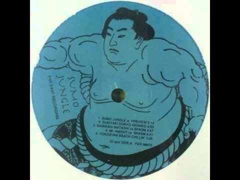 Soichi Terada — Soichi Terada - Sumo Jungle - 寺田創一