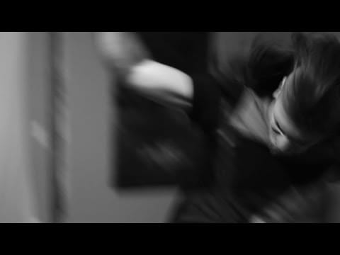 Voyager (30) — Voyager - Misery is only Company (OFFICIAL VIDEO)