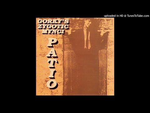 Gorky's Zygotic Mynci — Gorky's Zygotic Mynci - Mr Groovy
