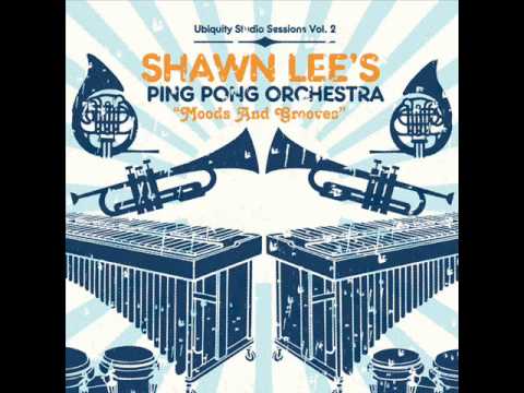 Shawn Lee’s Ping Pong Orchestra — Shawn Lee - "Theme From Andrex"