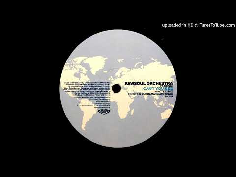 Rawsoul Orchestra — Rawsoul Orchestra Feat. Sibylle - Can't You See (Marquito Mix)