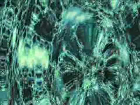 Pepe Deluxé — Pepe Deluxe - Lying Peacefully