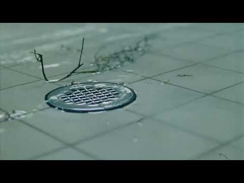 Matthew Champion — Matt Champion - Project