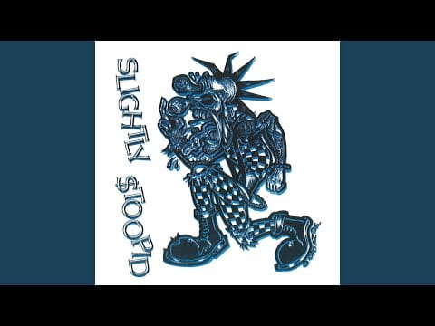 Slightly Stoopid — To a Party