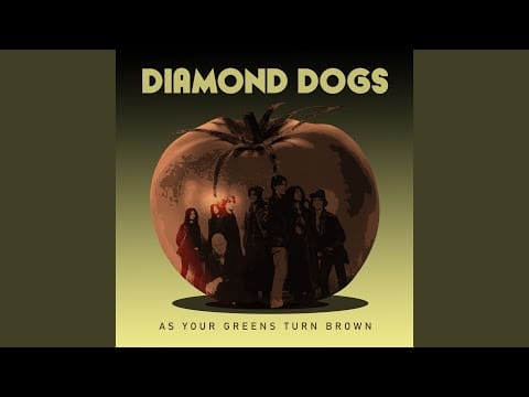 Diamond Dogs — The Drifter