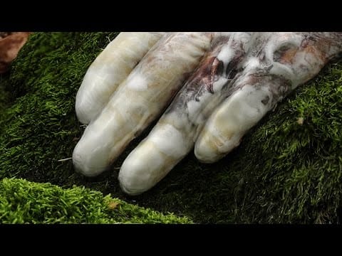 Margaret Antwood — Antwood - Prototype HA Remix