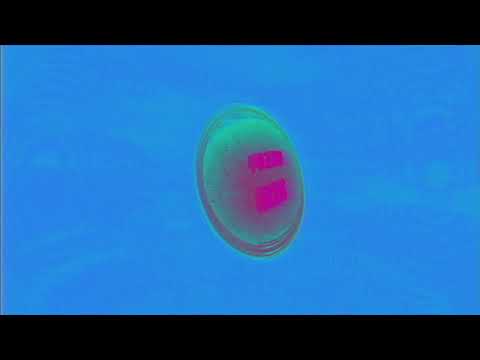 Confidence Man — SICKO (SHEE Dub Remix)