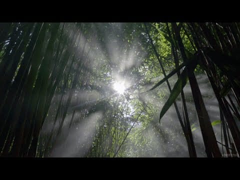 Claudio Baglioni — Claudio Baglioni - Fratello sole sorella luna (con testo)