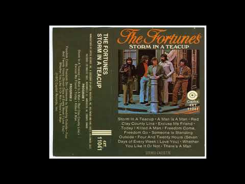 The Fortunes — The Fortunes - Excuse Me Friend