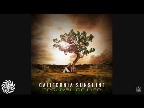 California Sunshine — California Sunshine - Age Of Love