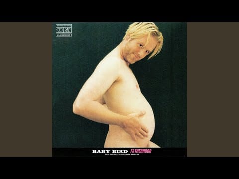 Baby Bird — I Was Never Here