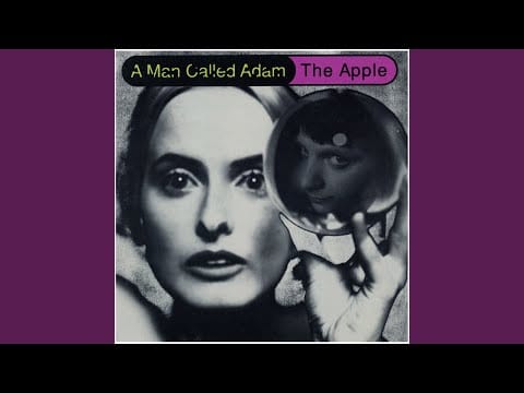 A Man Called Adam — The Chrono Psionic Interface