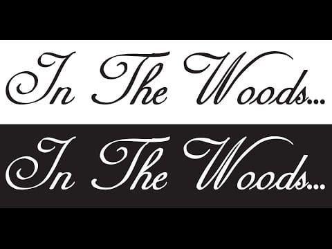 In The Woods... — In The Woods...  299.796 km/s