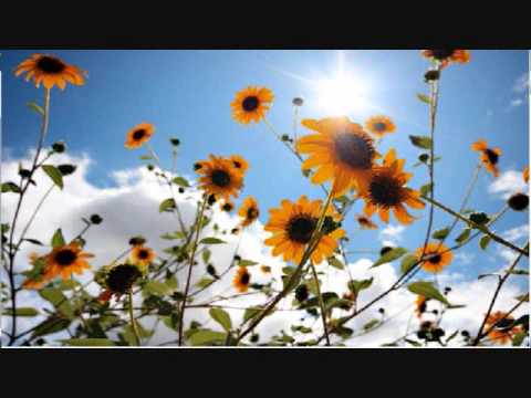 Joshua Radin — Joshua Radin - Brand New Day (Lyrics)