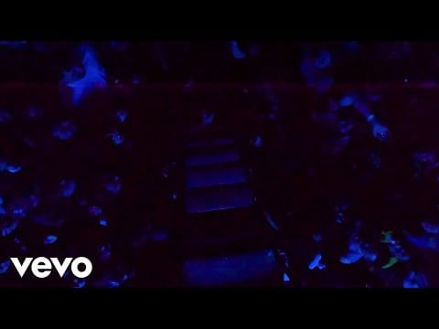 Lorde — Favourite Daughter