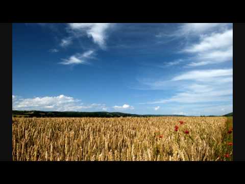 Wamdue Project — Wamdue Project Ft Jonathan Mendelsohn - Forgiveness (Kam Denny & Paul Zala Mix) (HQ)