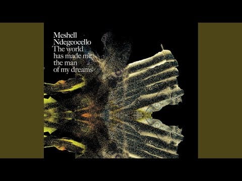 Meshell Ndegeocello — Evolution