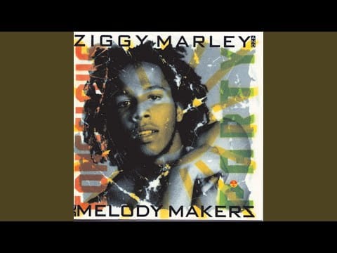 Ziggy Marley And The Melody Makers — Lee And Molly