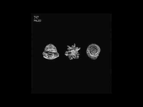 747 — 747 - Holocene [Aquaregia 010] (Vinyl Only)