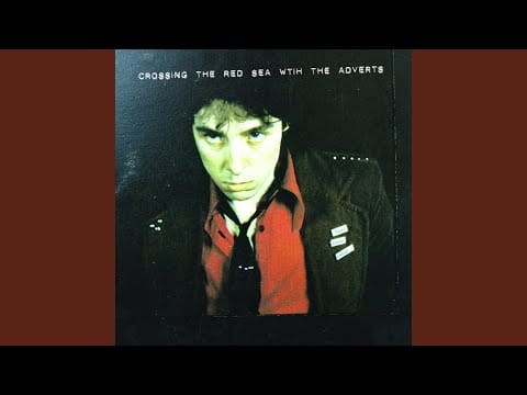 The Adverts — Newboys (Live)