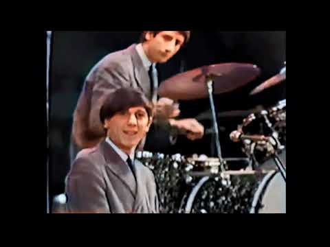 The Fortunes — The Fortunes - You've Got Your Troubles, in color! (1965)