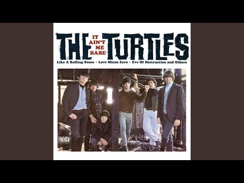 The Turtles — A Walk in the Sun (Remastered)